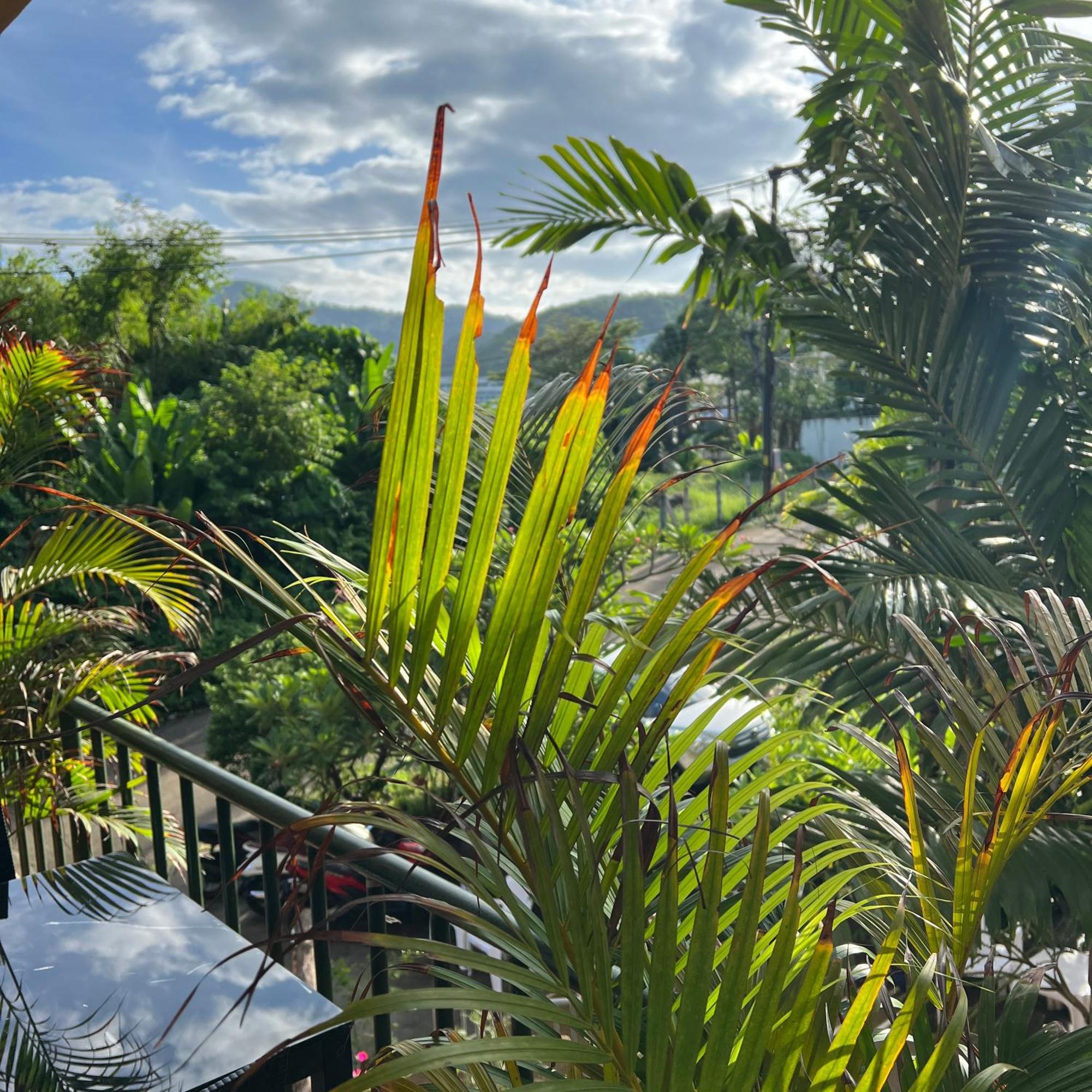 Kata Villa Merit Hill Bungalows Karon Eksteriør billede